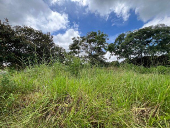 Venta de Espectacular Lote de Terreno en San Pablo de Turrubares / Mls. 26-1316 OFC JB in San Pablo, Turrubares, San José — $50,000