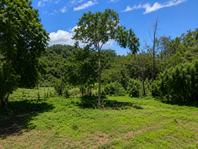 Lot with Buildable Area and Protected Forest in Las Delicias de Cóbano in Cóbano, Puntarenas — $330,000 - Photo 2 of 5