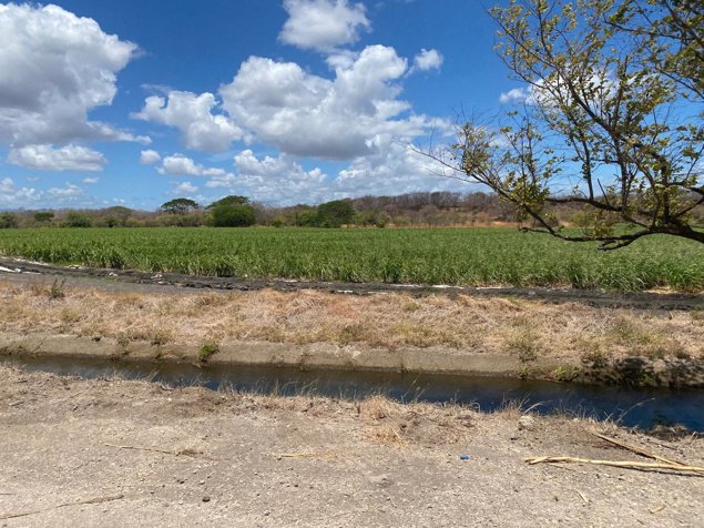Finca de 136 Ha con riego en Bagaces en Bagaces, Guanacaste — $1,500,000 - Foto 2 de 7