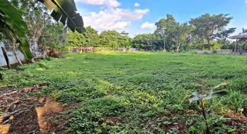 Lote en la isla la miramar  in Miramar, Montes De Oro, Puntarenas — 47 000 000 ₡ - Photo 4 of 4