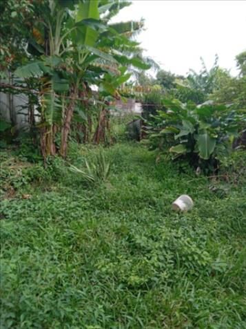 BELLA Y ÚTIL PROPIEDAD EN EL CENTRO DE GRECIA.  in Grecia, Alajuela — ₡ 140 000 000