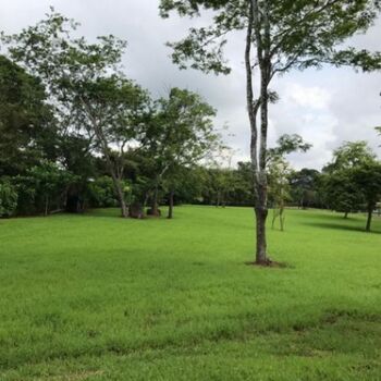 Venta de Lote en Orotina de Alajuela. RAH 26-880 in Orotina, Alajuela — $107,000 - Photo 4 of 6