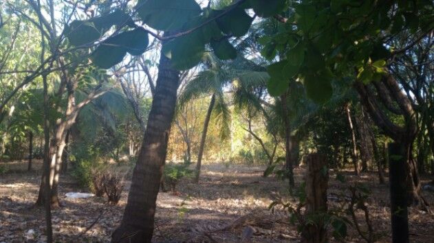 Bello terreno Las Josefinas Tamarindo en Tamarindo, Santa Cruz, Guanacaste — $99,000