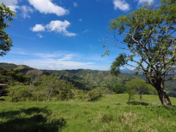 Se vende amplia finca de 26 hectáreas en Ciudad Colon 23-3180 in Colón, Mora, San José — $9,100,000