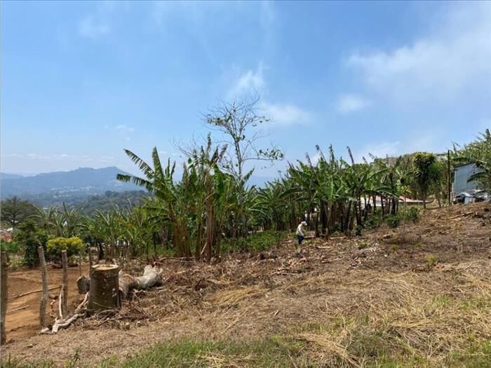 VENTA DE LOTE, ALAJUELA, NARANJO, SAN JUAN en San Juan, Naranjo, Alajuela — ₡ 23 500 000