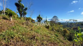LOTE CON VISTA A LA CORDILLERA DE TALAMANCA EN PÉREZ ZELEDÓN en Platanares, Pérez Zeledón, San José — $14,000 - Foto 5 de 13