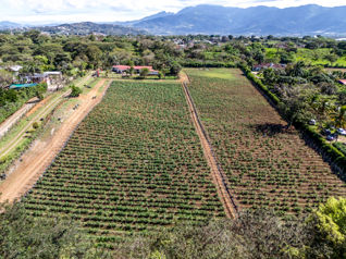 Lot for Sale in San Rafael, Alajuela: Investment Opportunity 🏘️ in San Rafael, Alajuela — $1,650,000 - Photo 4 of 17