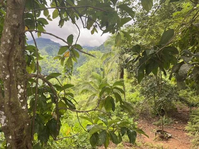 VENDOLOTE EN PARRITA-SAN JOSÉ OPRTUNIDAD UNICA en Parrita, Puntarenas — $400,000 - Foto 3 de 9