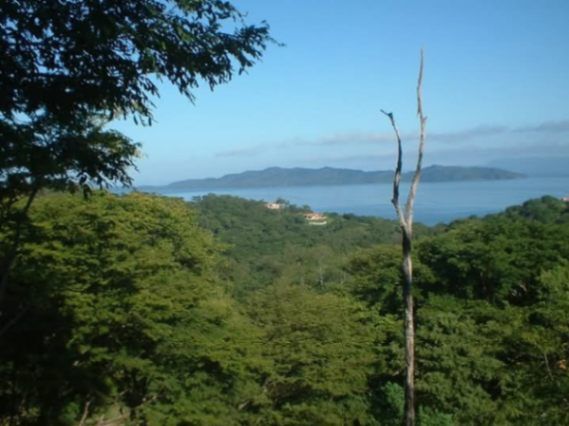 OPORTUNIDAD ÚNICA FINCA EN PLAYA NARANJO, PUNTARENAS.  in Lepanto, Puntarenas — $1,500,000