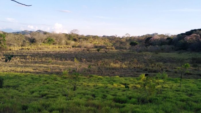 50,000m2 muy aprovechables con vistas 5 min. del centro in Atenas, Alajuela — $750,000 - Photo 3 of 10