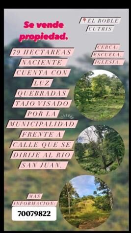 Vendo finca de 115 manzanas en cutris de San Carlos, se recibe como intercambio tambien en Cutris, San Carlos, Alajuela — ₡ 316 250 000