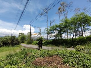 Venta de terreno agrícola de 21.764 m2 en San Pedro, Pérez Zeledón in San Pedro, Pérez Zeledón, San José — 98 000 000 ₡ - Photo 3 of 27