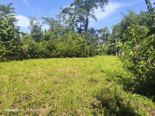 Lote en venta en San Ramon, cerca de la Fortuna, plano en Peñas Blancas, San Ramón, Alajuela — $20,000