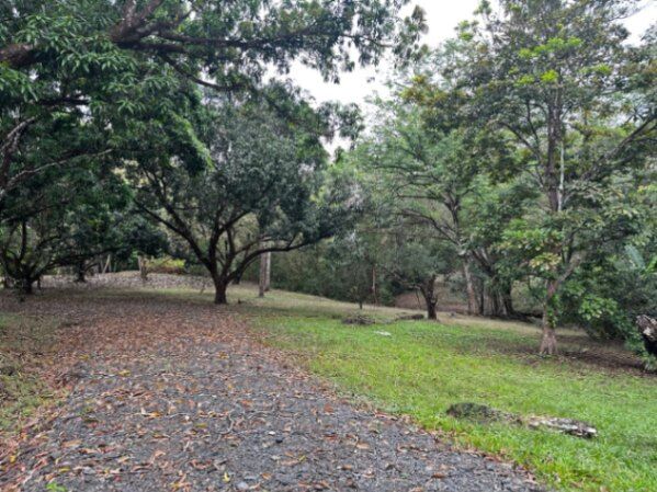 VENDO ESPECTACULAR LOTE CON CASA EN TURRUBARES-SAN JOSÉ. en Carara, Turrubares, San José — $350,000