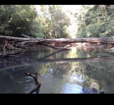 Vendo Finca en Pocosol de San Carlos en Pocosol, San Carlos, Alajuela — ₡ 147 000 000
