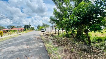 🌿 TERRENO EN VENTA EN LA COLONIA, GUAPILES en La Colonia, Pococí, Limón — 19 500 000 ₡ - Foto 5 de 7