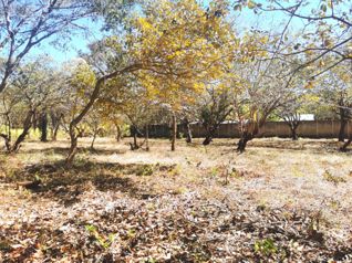 VENTA DE LOTE EN OROTINA, ALAJUELA en Orotina, Alajuela — 55 000 000 ₡ - Foto 4 de 7