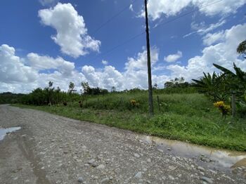 Venta de finca con abaca en Rita, Pococí, Limón — 60 000 000 ₡ - Foto 4 de 23