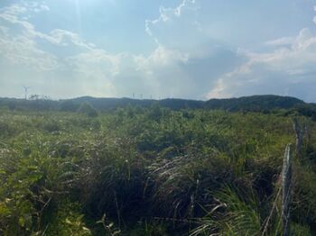 Farm For Sale Mogote, Bagaces, Guanacaste