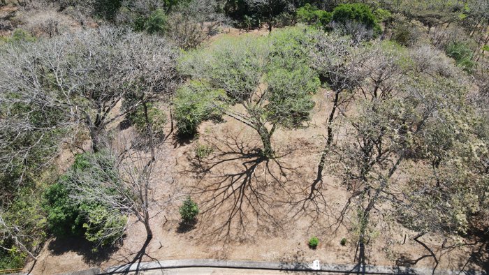 Lote de 2210m2 en San Mateo de Alajuela en Jesús María, San Mateo, Alajuela — ₡ 40 000 000 - Foto 2 de 11