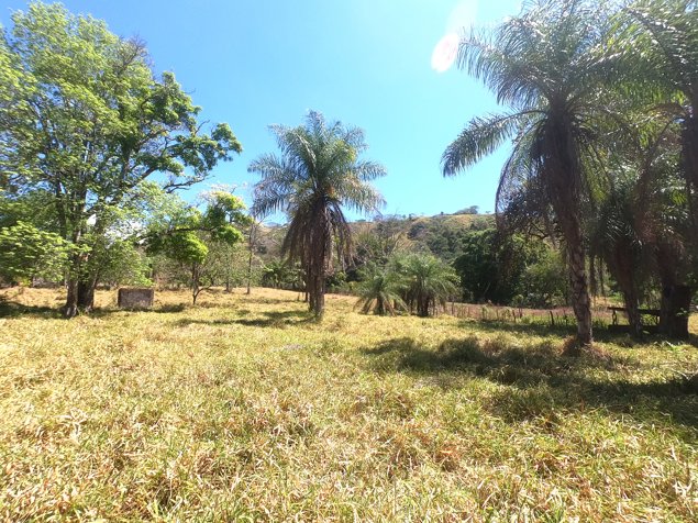 FINCA BARROETA - Una Finca de 16 Hectáreas (161,799 m²) en Atenas, Alajuela — $875,000 - Foto 3 de 24