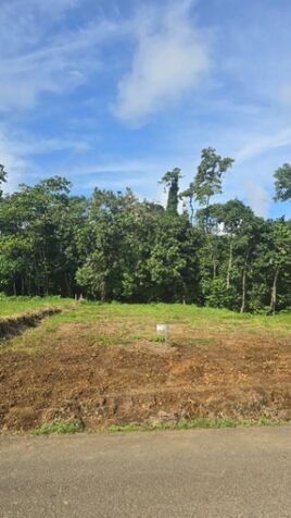 Lotes en La Fortuna con Río y Bosque  en La Fortuna, San Carlos, Alajuela — ₡ 43 000 000