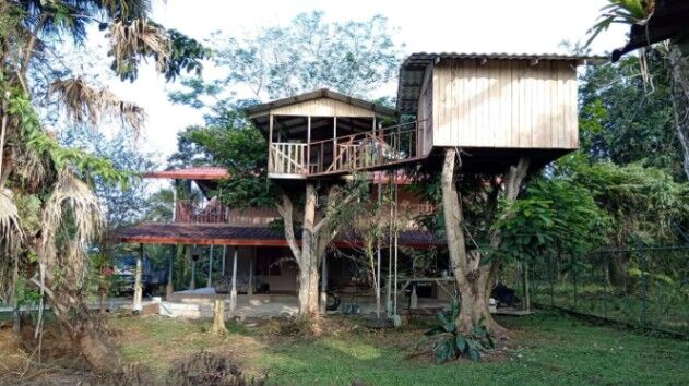 Finca Ganadera y Ecoturística de 11 Hectáreas en Guácimo, Limón- SE ACEPTAN CAMBIOS en Guácimo, Limón — $430,000