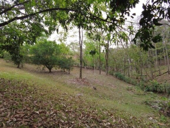 MLS-23-2437 VENTA LOTE OROTINA ALAJUELA en Orotina, Alajuela — ₡ 80 000 000
