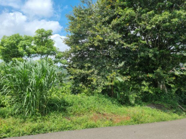 Venta de Lote en Palmares de Alajuela. RAH 26-117 en La Granja, Palmares, Alajuela — $2,000,000