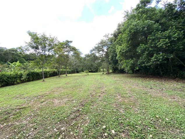 Venta de Lote en Chachagua, Alajuela en Alajuela — ₡ 20 000 000