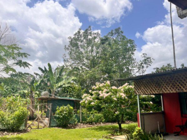 ¡Oportunidad! ¡Hermosa Casa Amplia con Grandes Zonas Verdes y Mucho Espacio! in Florencia, San Carlos, Alajuela — ₡ 95 000 000