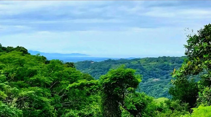 Preciosa Finca en Carrera Buena de San Ramón in Zapotal, San Ramón, Alajuela — ₡ 200 000 000