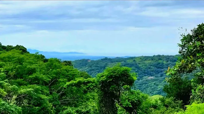 Finca ganadera de 33 ha en venta en San Ramón, Alajuela in Zapotal, San Ramón, Alajuela — ₡ 200 000 000