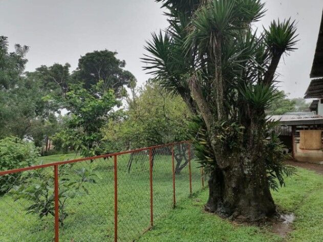 ¡Gran Oportunidad deFinca en  Barrio Jesús, Santa Bárbara de Heredia! (Costa Rica) en Jesús, Santa Bárbara, Heredia — ₡ 190 000 000