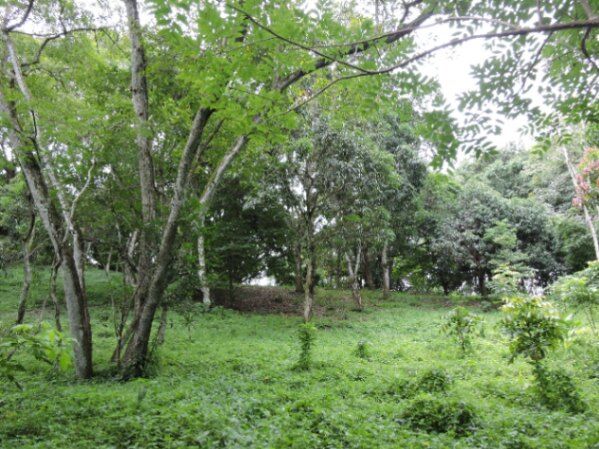 TERRENO ESPECIAL PARA DESARROLLO en Coyolar, Orotina, Alajuela — $800,000