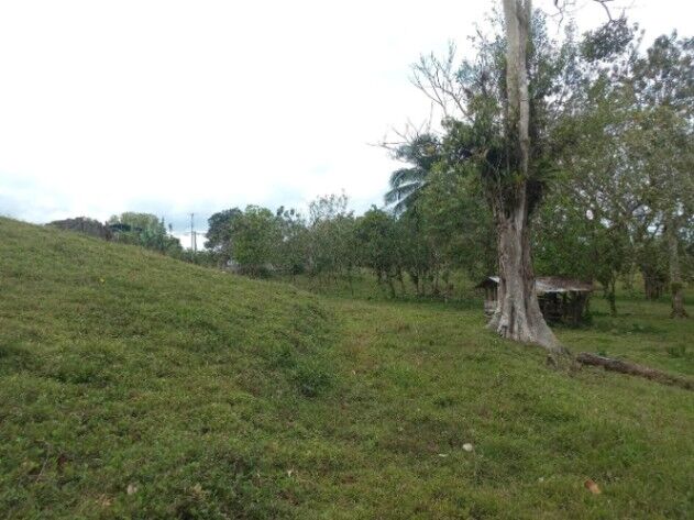 SE VENDE BELLÍSIMA FINCA EN LA VIRGEN DE SARAPIQUÍ.  in La Virgen, Sarapiquí, Heredia — ₡ 75 000 000