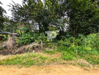 LOTE EN VENTA EN COYOLAR-OROTINA ALAJUELA A METROS DE LA 27 SCG34 in Coyolar, Orotina, Alajuela — 39 000 000 ₡ - Photo 5 of 6