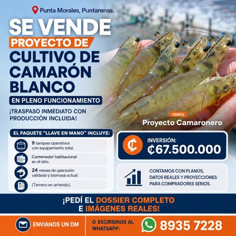VENTA DE PROYECTO CAMARONERO- CHOMES PUNTARENAS - EN PRODUCCION en Chomes, Puntarenas — ₡ 67 500 000