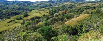 Venta de Lote en Desamparaditos de Puriscal. RAH 27-397 in Desamparaditos, Puriscal, San José — $485,850 - Photo 4 of 9