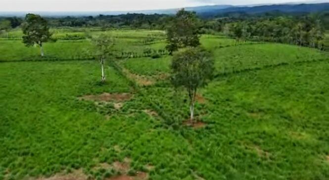 SE VENDE BELLA FINCA EN GUATUSO, SAN CARLOS.  en Aguas Zarcas, San Carlos, Alajuela — ₡ 500 000 000