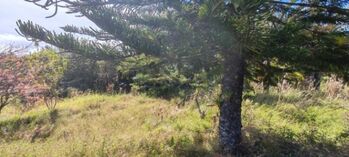 Venta de Lote en San Rafael de Heredia. RAH 26-1222 en Concepción, San Rafael, Heredia — 153 500 000 ₡ - Foto 4 de 9