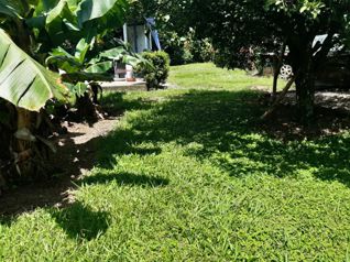 Lote con casa in Brasil, Santa Ana, San José — 450 000 000 ₡ - Photo 4 of 8