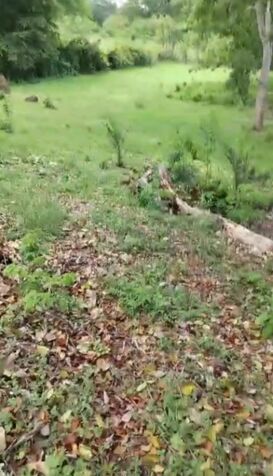 SE VENDE BELLA PROPIEDAD CERCANA A PLAYA TIVIVES.  en San Juan Grande, Esparza, Puntarenas — ₡ 35 000 000