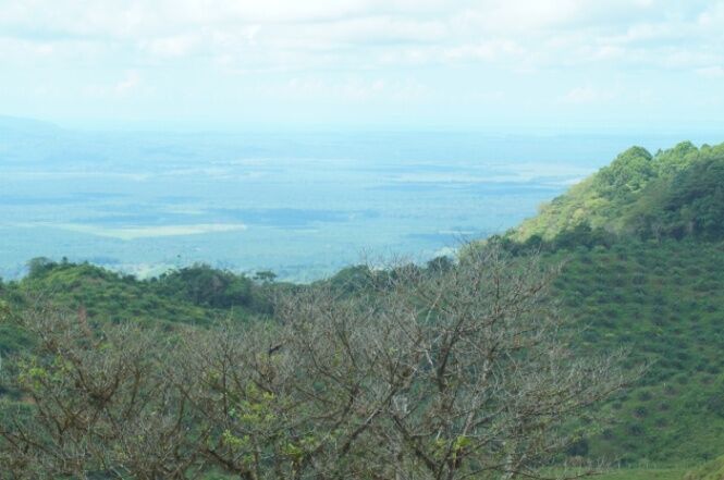 Finca en Sinai de Osa, Puntarenas en Piedras Blancas, Osa, Puntarenas — ₡ 370 000 000