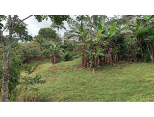 FOR SALE: LOT IN PURISCAL. in Barbacoas, Puriscal, San José — 40 000 000 ₡ - Photo 5 of 8