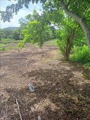 Lote en Venta San Miguel, Cañas, Guanacaste