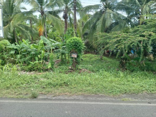 Se vende lotes  in Limón — ₡ 14 000 000