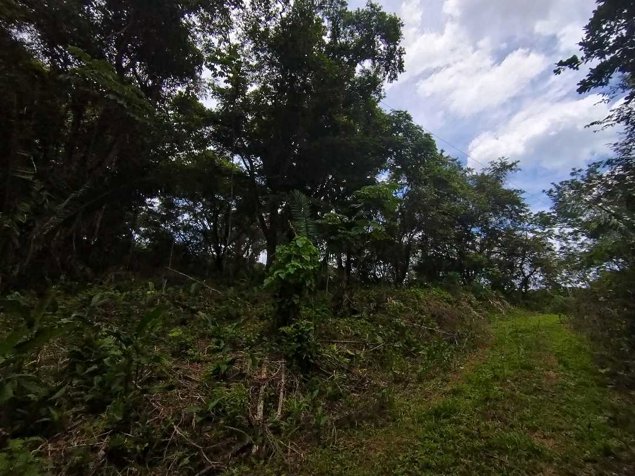 Lotes 49 y 50 en Ruta del Sol, precio de oportunidad en Cuajiniquil, Santa Cruz, Guanacaste — $85,000