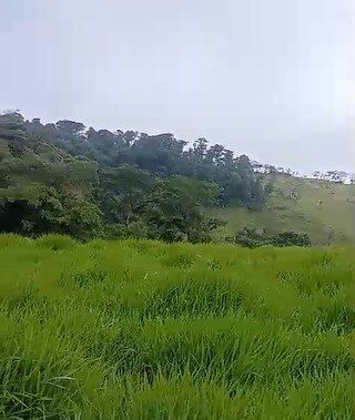 DE OPORTUNIDAD ÚTIL FINCA EN SAN RAMÓN, ALAJUELA.  in Volio, San Ramón, Alajuela — ₡ 286 000 000
