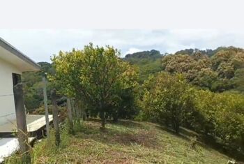DE OPORTUNIDAD BELLA PROPIEDAD EN ATENAS.  en Mercedes, Atenas, Alajuela — 27 000 000 ₡ - Foto 4 de 10